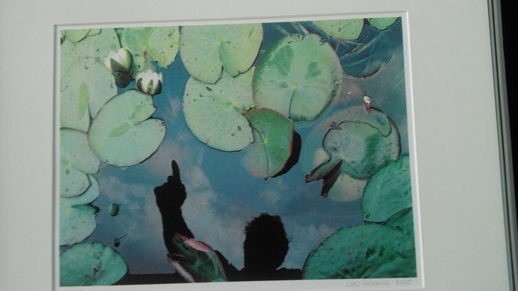 Waterspiegel kopen? Bied vanaf 25!