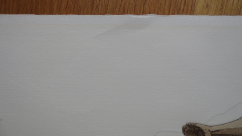 LEENTJE LINDERS  KLEURENETS  "BOB IS TAKING THE PLUNGE BACKWARDS" kopen? Bied vanaf 35!