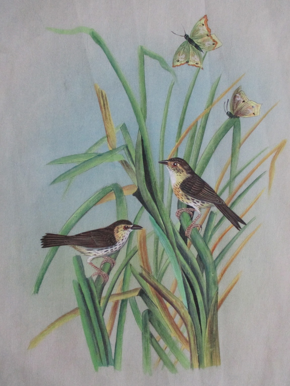 Onbekend, twee beschilderde zijden doeken, vogels kopen? Bied vanaf 10!