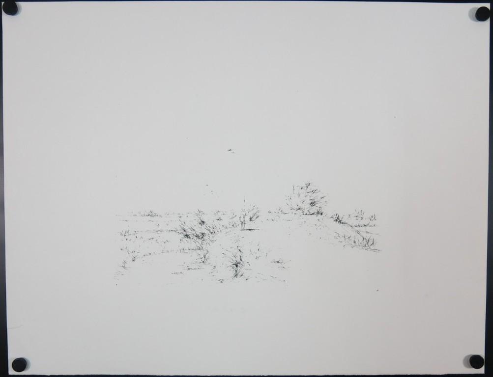 Willem den Ouden: Litho, Landschap kopen? Bied vanaf 1!