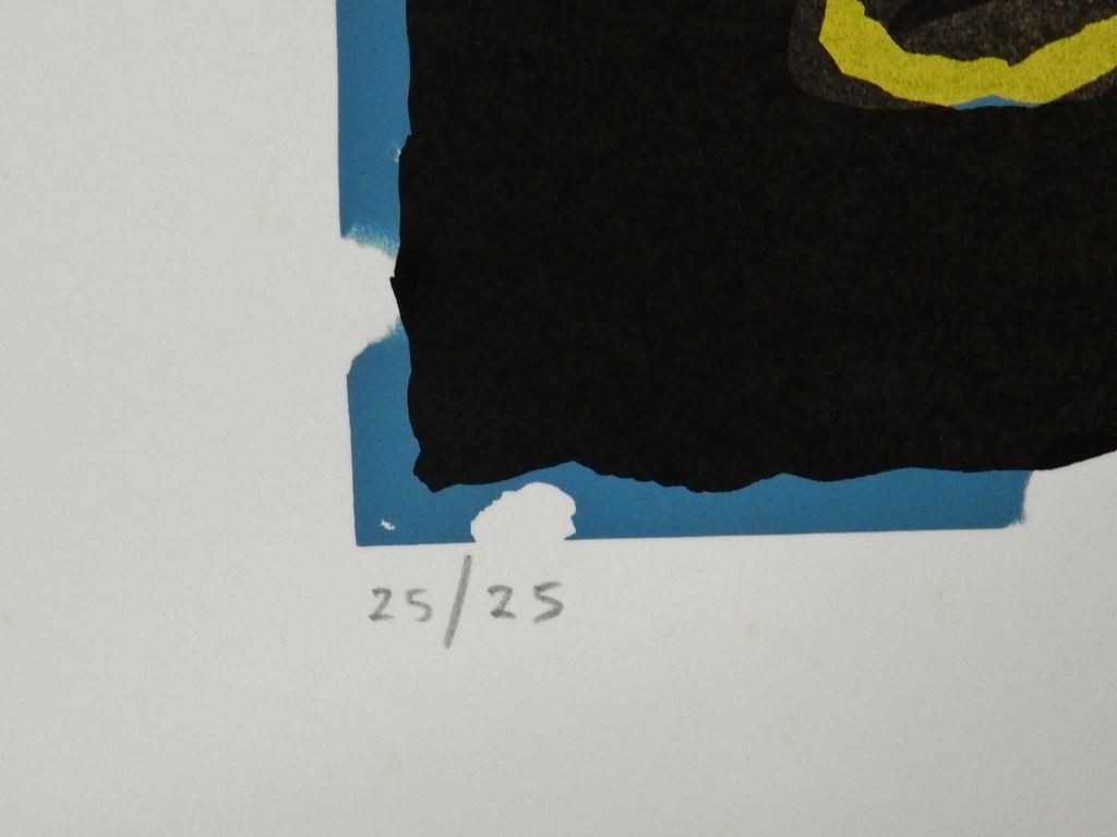 Hans Blekkink - Zeefdruk uit 1985 kopen? Bied vanaf 20!