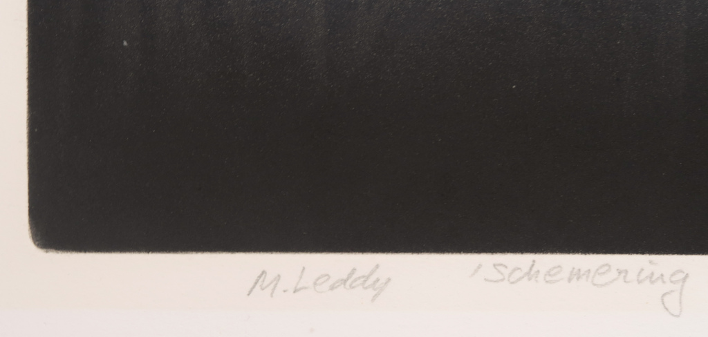 Madeleine Leddy: Mezzotint, Schemering kopen? Bied vanaf 20!