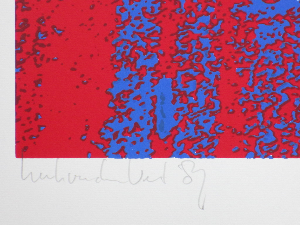 Henk van der Vet, Nachtclubdanseres, Kleurenzeefdruk kopen? Bied vanaf 30!