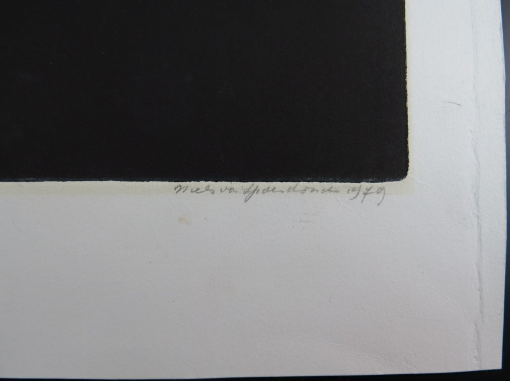 Niels van Spaendonck: Aquatint, Wording kopen? Bied vanaf 1!