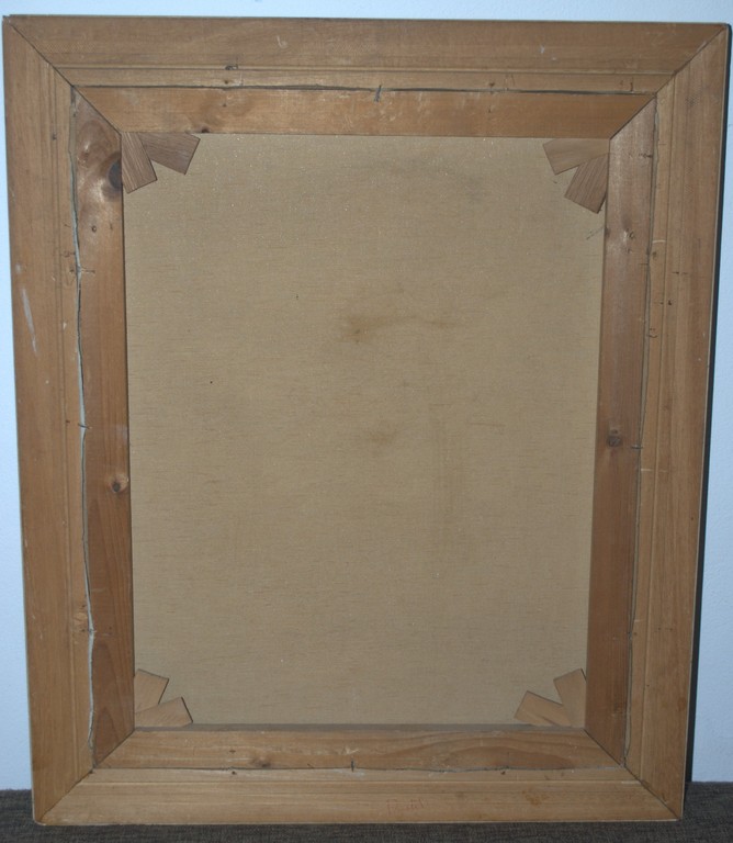 't Gooi - ingelijst olieverf op doek, incl boek kopen? Bied vanaf 1!