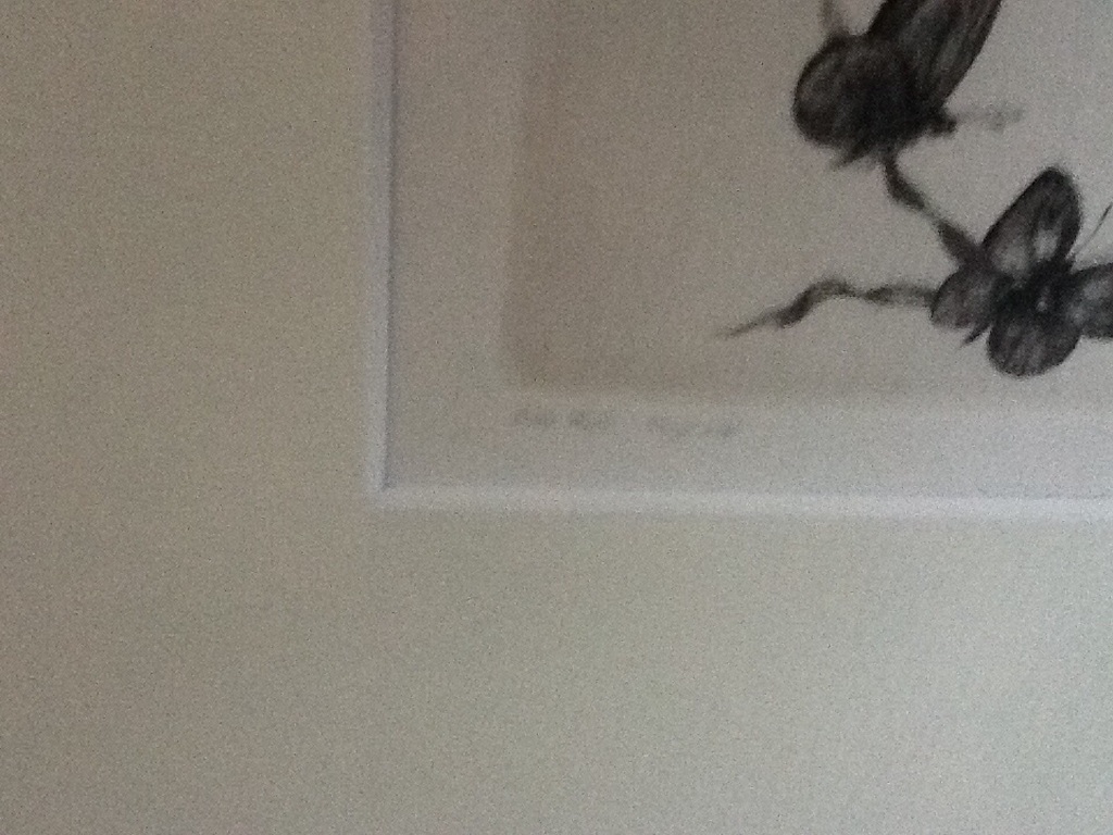 Lidmila Jirincova : Handgesigneerde litho ' Girl with two Butterflies ' kopen? Bied vanaf 20!