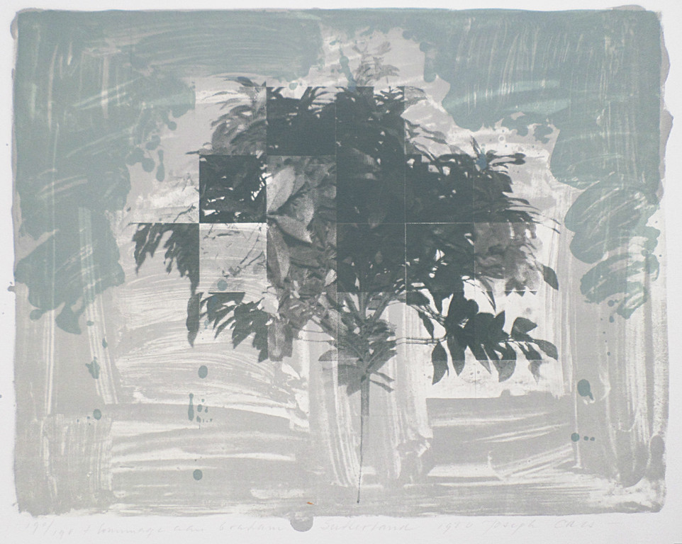 Joseph Cals - Hommage aan Graham Sutherland, litho kopen? Bied vanaf 45!