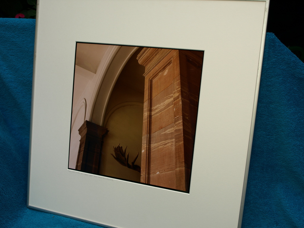 Paul den Hollander – Foto 2 uit de serie National History Collections – Ingelijst, 50 x 50 cm – oplage 40 - 1984 kopen? Bied vanaf 40!