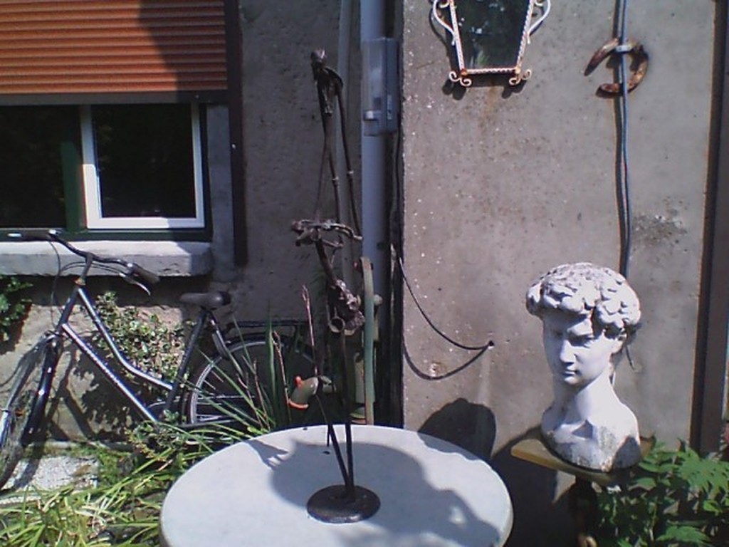 stam mossie  kopen? Bied vanaf 240!