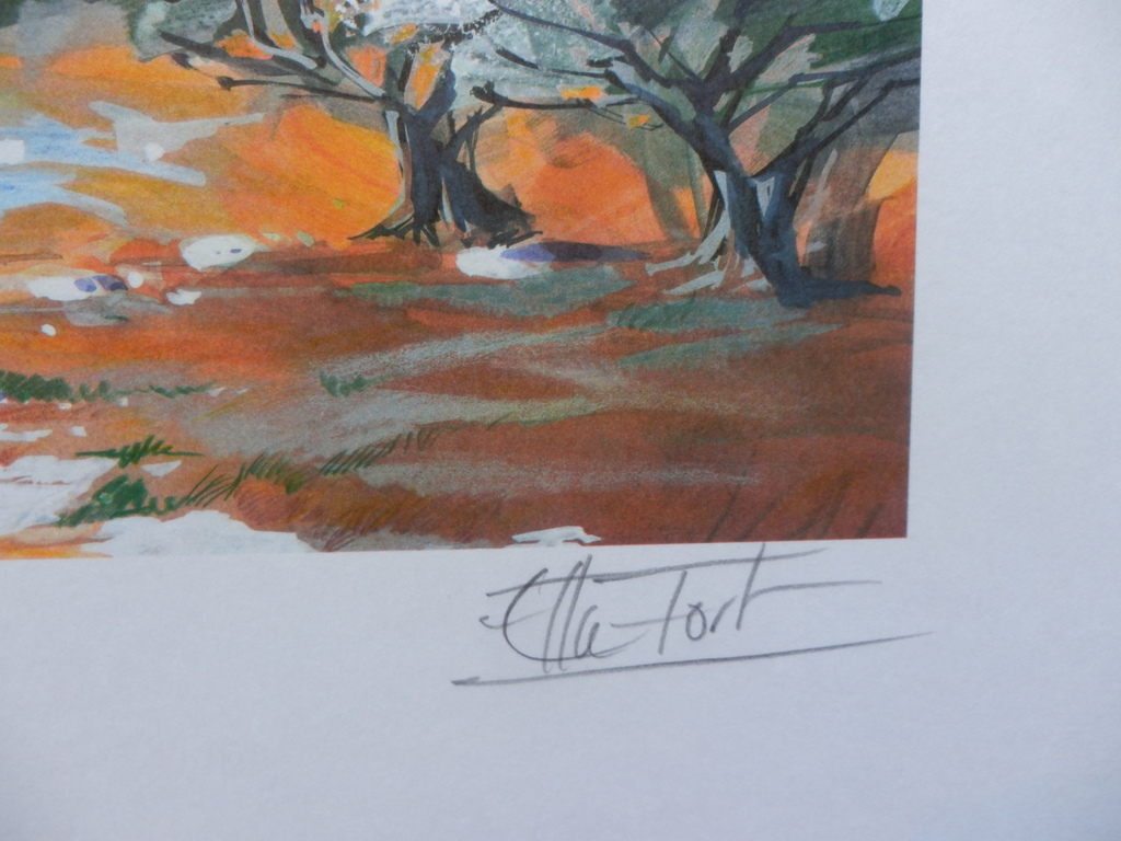 ELLA FORT  Grote Zeefdruk(56x38cm)  LANGUEDOC  Handgesigneerd kopen? Bied vanaf 1!