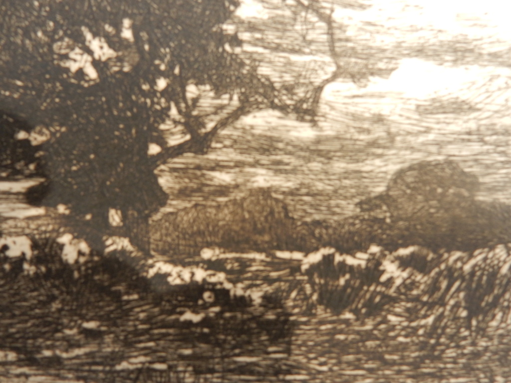 Willem de Zwart, ets, Boerderij tussen de Bomen kopen? Bied vanaf 50!