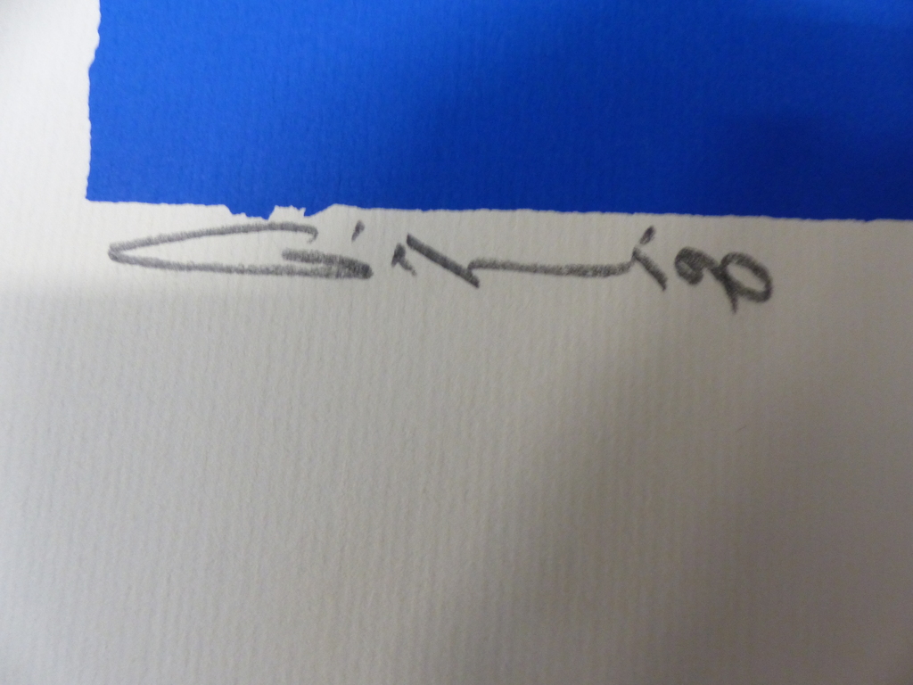 Gerard t hart( 1933 ) ,Zeefdruk op papier,Handgesigneerd, kopen? Bied vanaf 30!