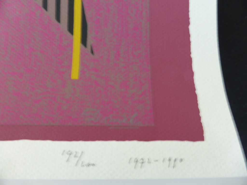 Heel mooie litho handgesigneerd en genummerd kopen? Bied vanaf 200!