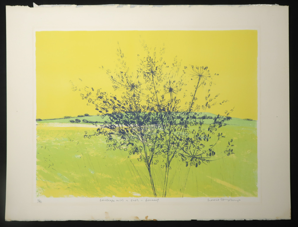 David Humphreys: Litho, Landscape with a bush - Somerset kopen? Bied vanaf 1!