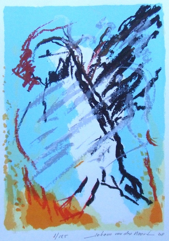 JOHANN VAN DEN NOORT, “Set van drie Papagaai duikers” 2008, zeefdruk. kopen? Bied vanaf 200!