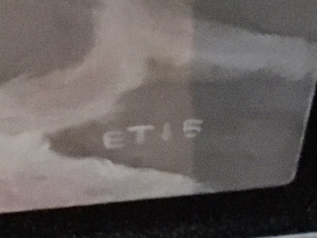 Erik Tierolf, Olieverf schilderij, Stier kopen? Bied vanaf 500!