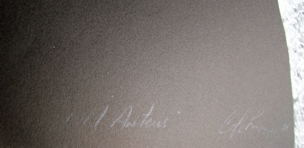 Cole Morgan: zeefdruk uit 1978, zgn Artaprent Den haag kopen? Bied vanaf 50!