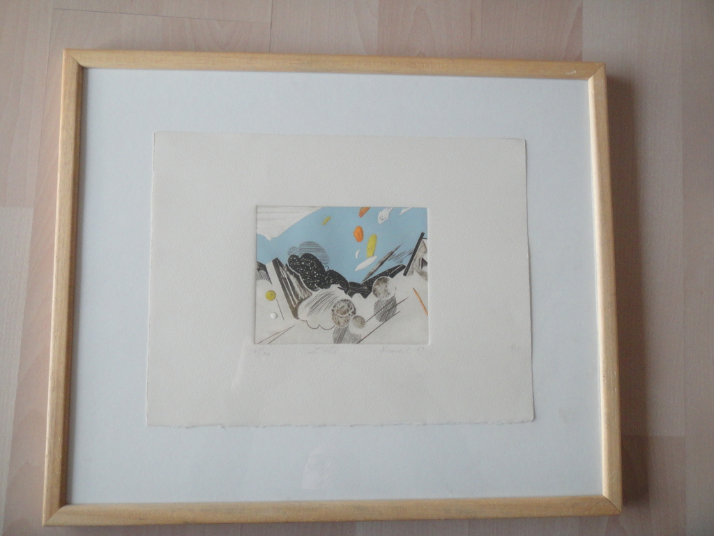 Kemal Sirbegovic, ets, " l'eté " kopen? Bied vanaf 1!