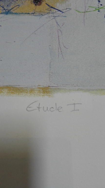 Ron van der Werf, Zeefdruk op papier, Titel: "  Etude I " kopen? Bied vanaf 50!