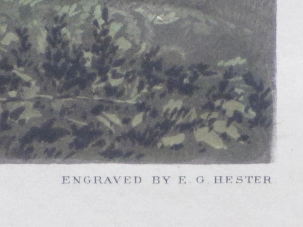 Edward Hester, A Check, Kleurgravure kopen? Bied vanaf 1!