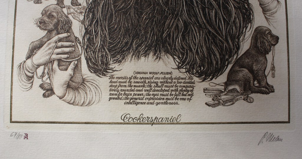 Cockerspaniel kopen? Bied vanaf 1!