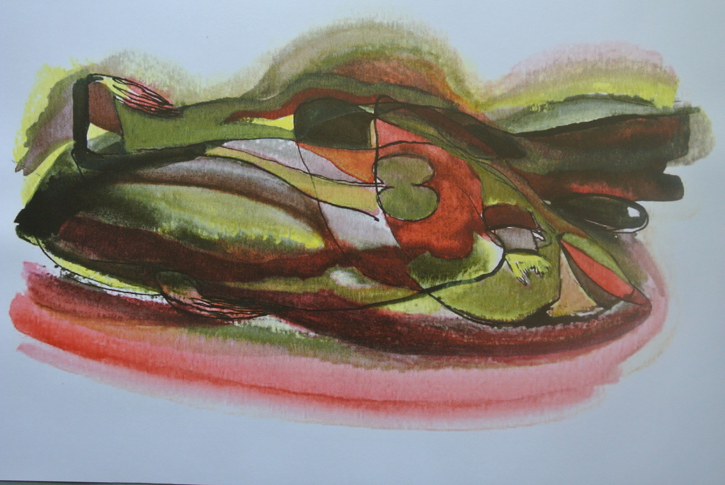 CHRIS van HARSKAMP. -26 prachtige kleurenlitho’s in luxe map- kopen? Bied vanaf 79!