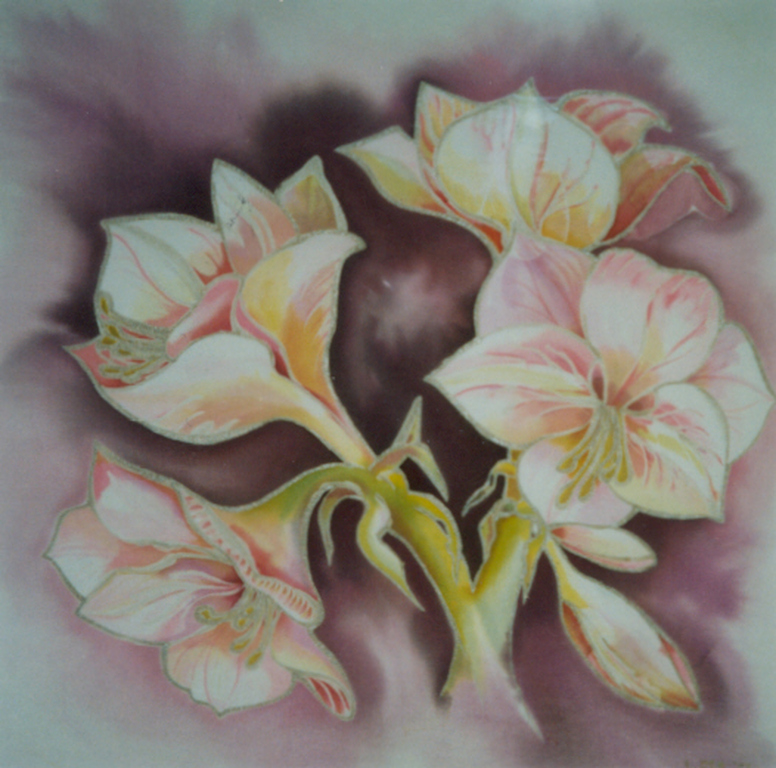 Amaryllis - Will Kellermann - Silkcolor(c) kopen? Bied vanaf 100!