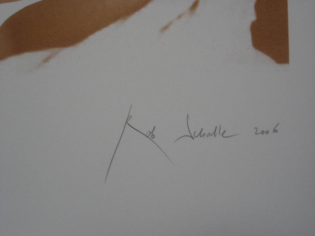 Rob Scholte: grote zeefdruk Cascade kopen? Bied vanaf 225!