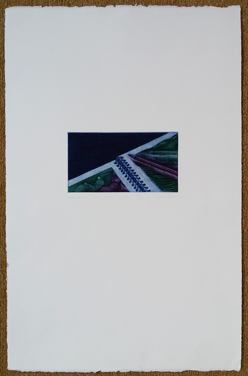 Helen van der Deen - Klein scheppingsverhaal, mezzotint ets kopen? Bied vanaf 20!