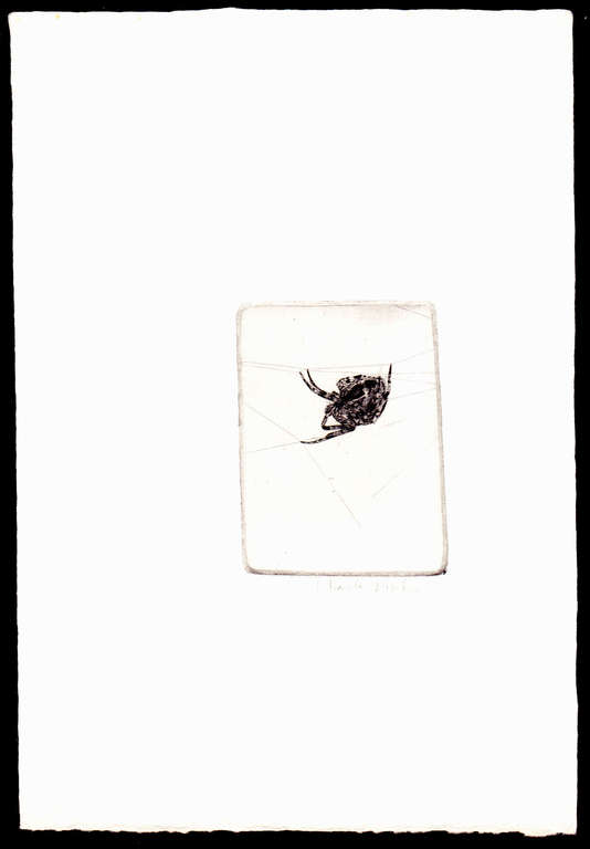 Charles Donker, ets, Kruisspin kopen? Bied vanaf 50!