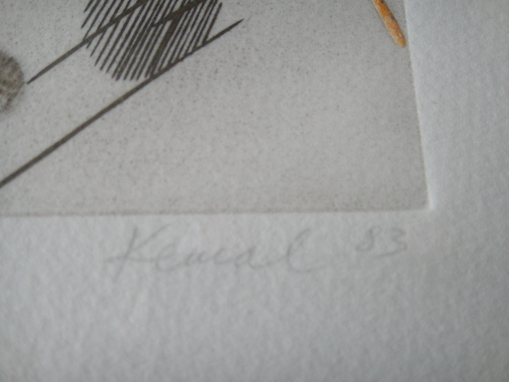 Kemal Sirbegovic, ets, " l'eté " kopen? Bied vanaf 1!