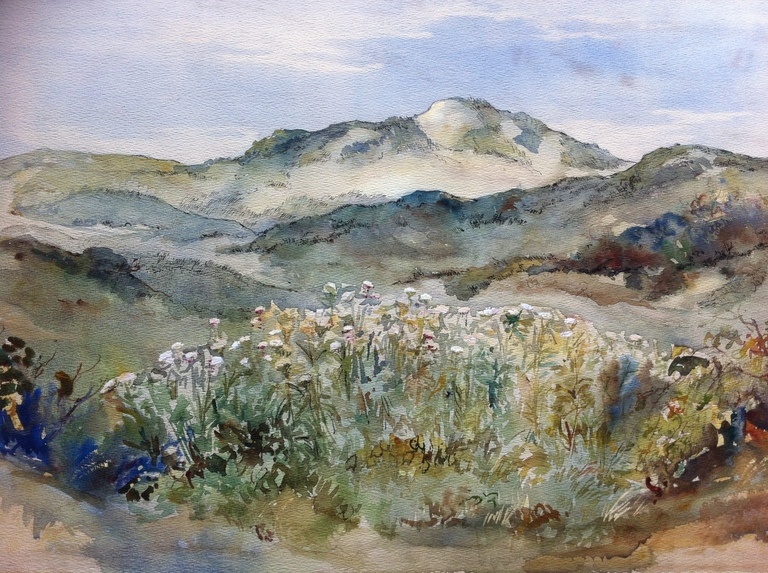 Jan Kagie Jr. (1907-1991) - Aquarel - Duinlandschap Texel verkocht voor € 45!