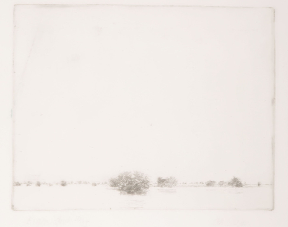 Willem den Ouden: Ets, Meidoorns verkocht voor € 110!