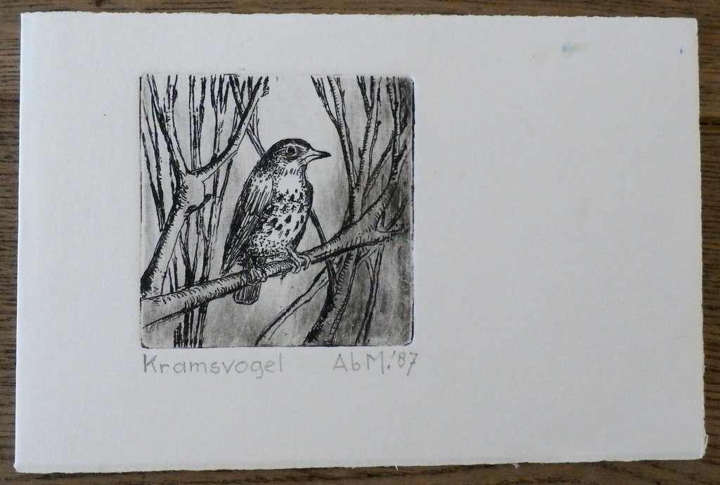 Ab M. - ets op nieuwjaarskaart: Kramsvogel kopen? Bied vanaf 1!