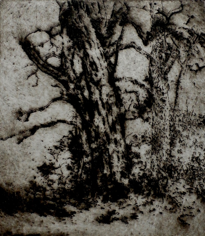 Wim Steijn - ets: Bomen  verkocht voor € 35!