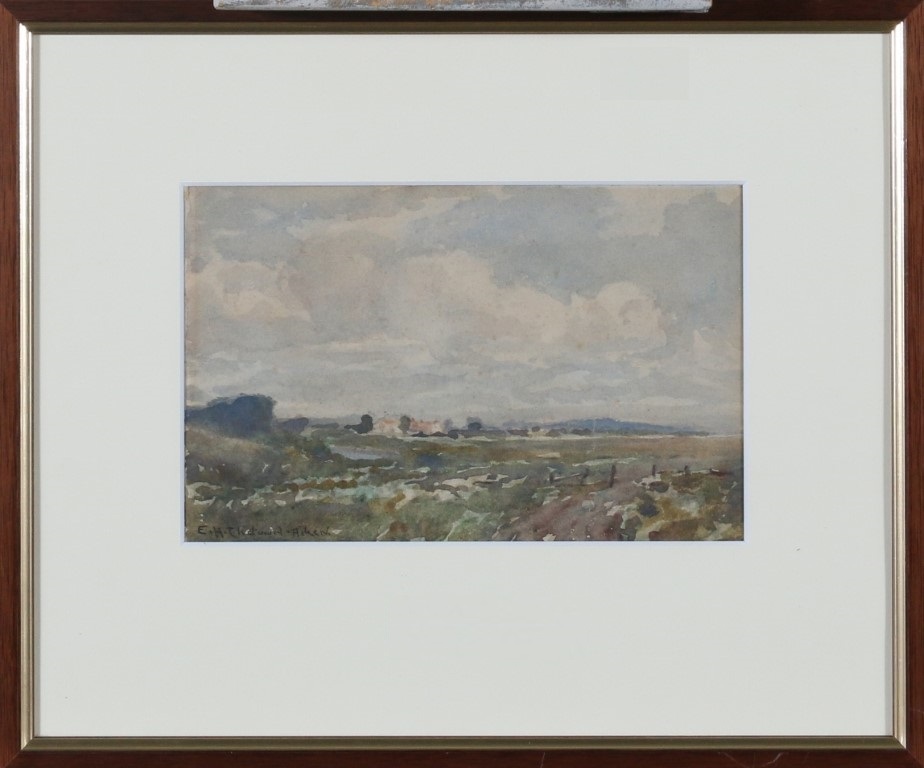 Edward Hamilton Chetwood Aiken (1867)
