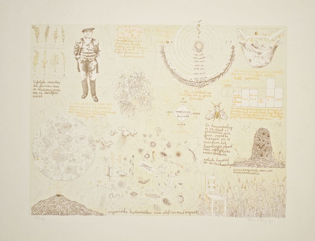 Theo Kley: Litho. De bananenvlieg kopen? Bied vanaf 1!
