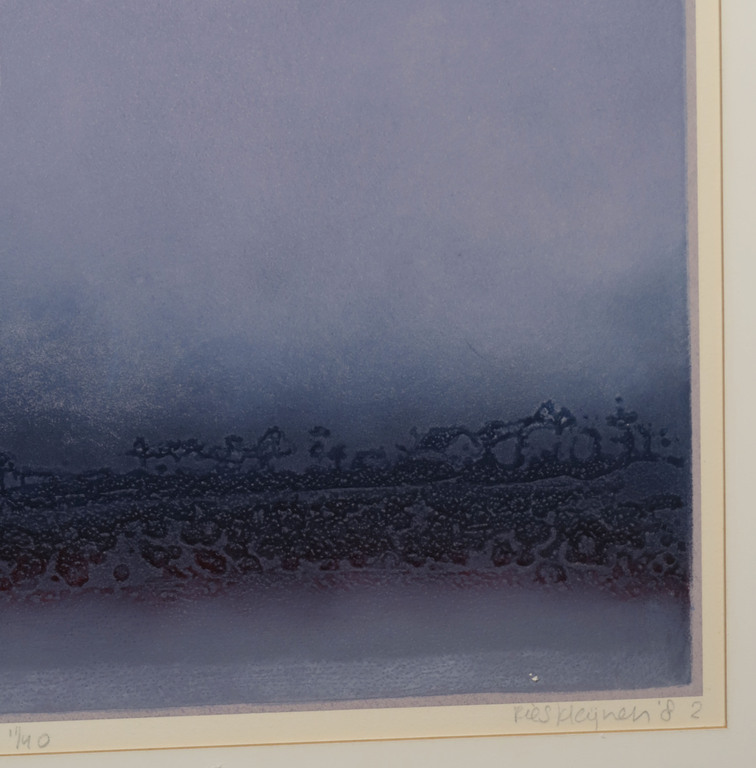 Ries Kleijnen: Ets en Zeefdruk, Er is meer onder de zon II - Ingelijst kopen? Bied vanaf 1!