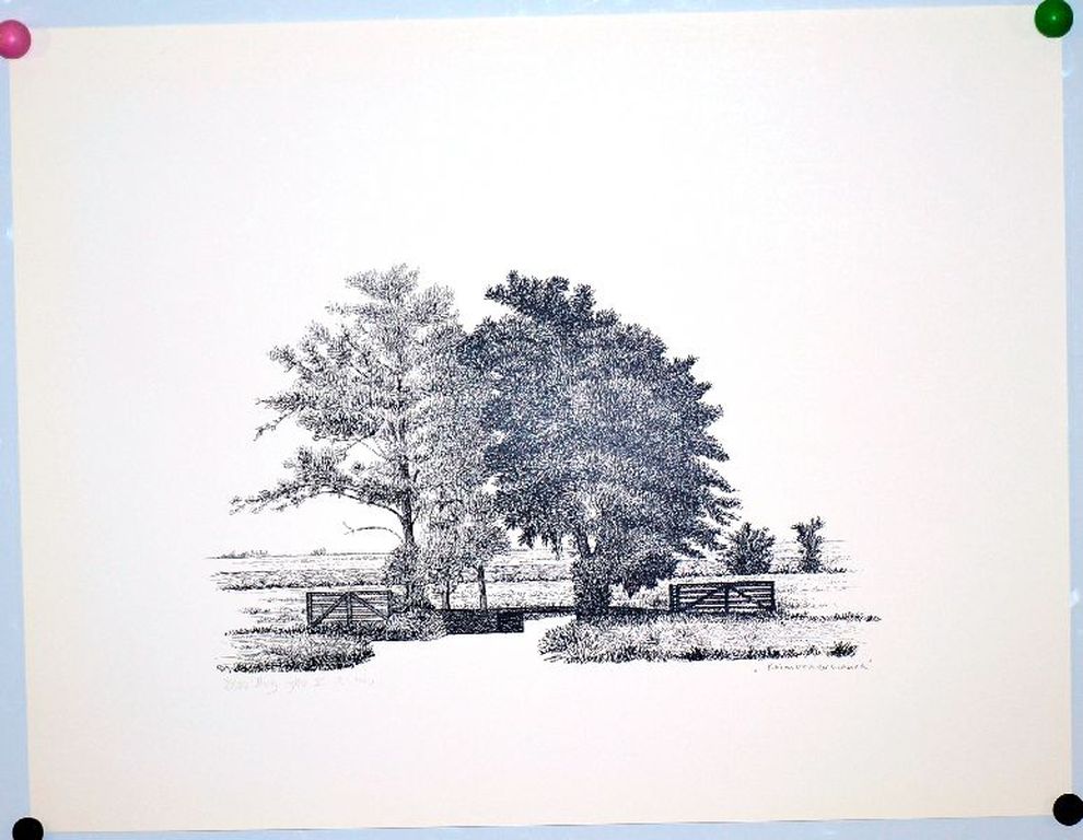 Sees Vlag: Zeefdruk. Krimpenerwaard verkocht voor € 50!