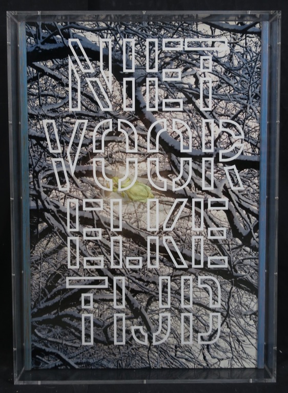 Pamela Schellekens: Wandelend blad op foto, Niet voor elke tijd - Ingelijst verkocht voor € 70!