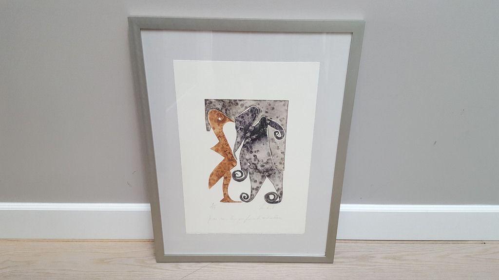 Reinhoud D'Haese (1928-2007) - metaaldruk 9/24, handgesigneerd (ingelijst) kopen? Bied vanaf 185!