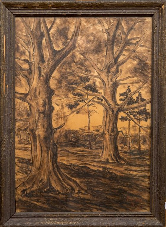 Bomen bij Veld, houtskooltekening, kopen? Bied vanaf 1!