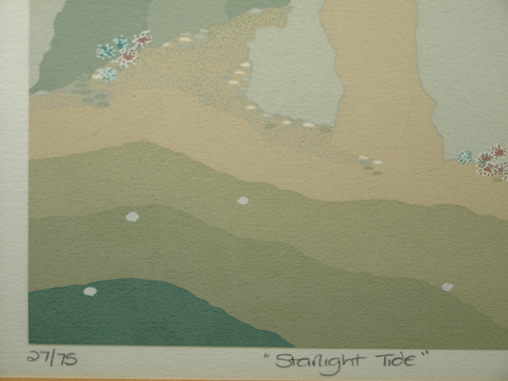 Gina Holland: Zeefdruk – Starlight Tide – Gesigneerd & ingelijst – ca 1980 kopen? Bied vanaf 1!