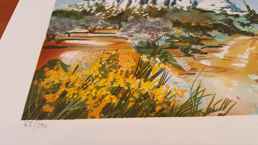 Ella Fort, Zuidelijk berglandschap, Schitterende Kleuren Lithografie kopen? Bied vanaf 1!