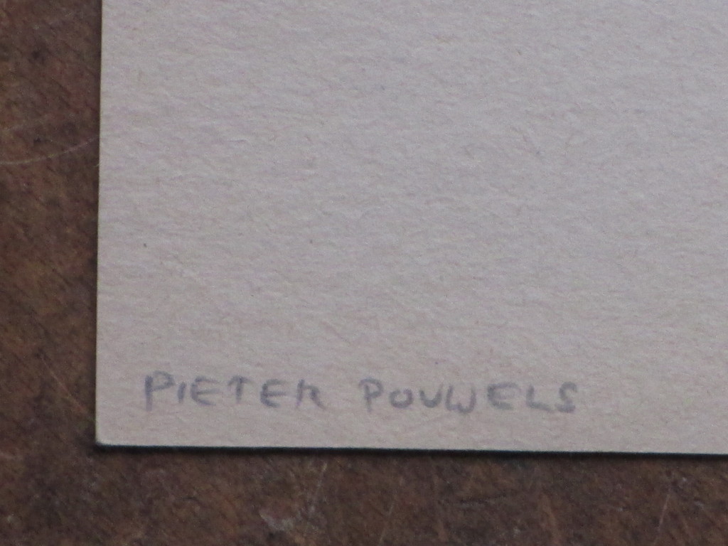 Pieter Pouwels, Tijger, Houtsnede kopen? Bied vanaf 1!