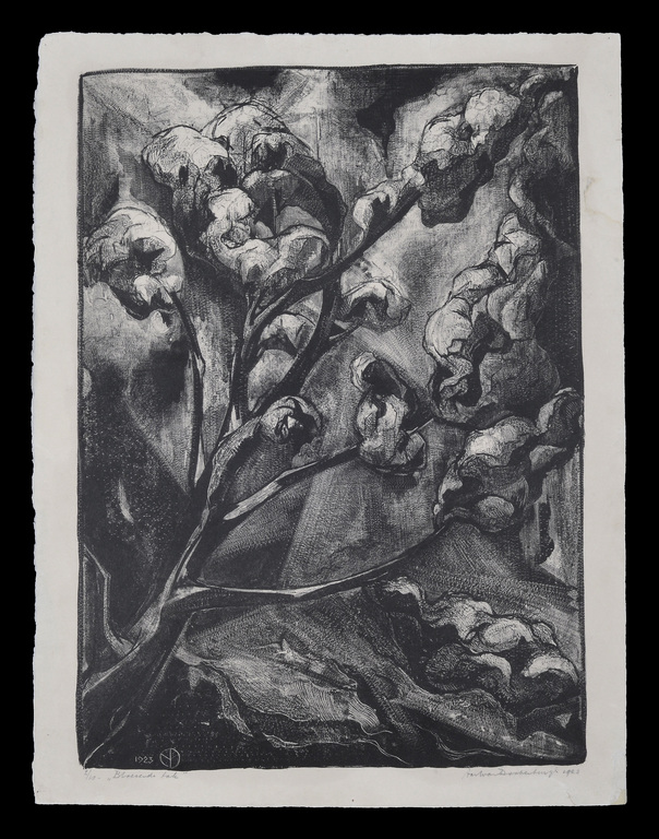 Aart van Dobbenburgh: Litho - Bloeiende tak - 1923 (2/10) - Zeldzaam kopen? Bied vanaf 65!