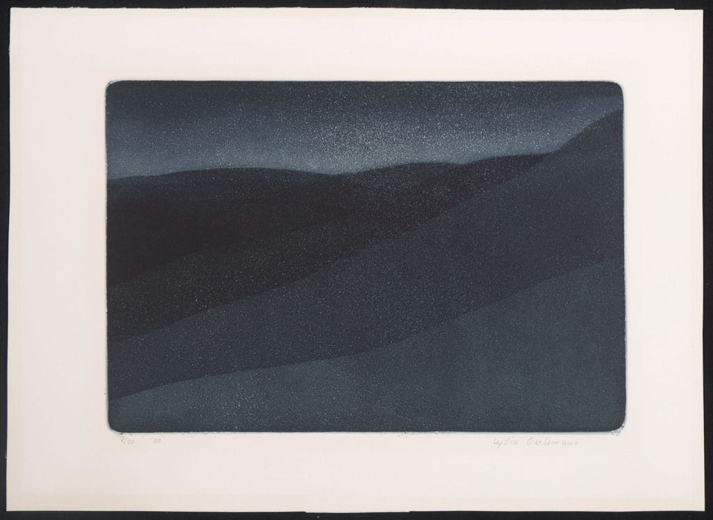 Lydia Oerlemans: Ets en aquatint, Zonder titel kopen? Bied vanaf 40!