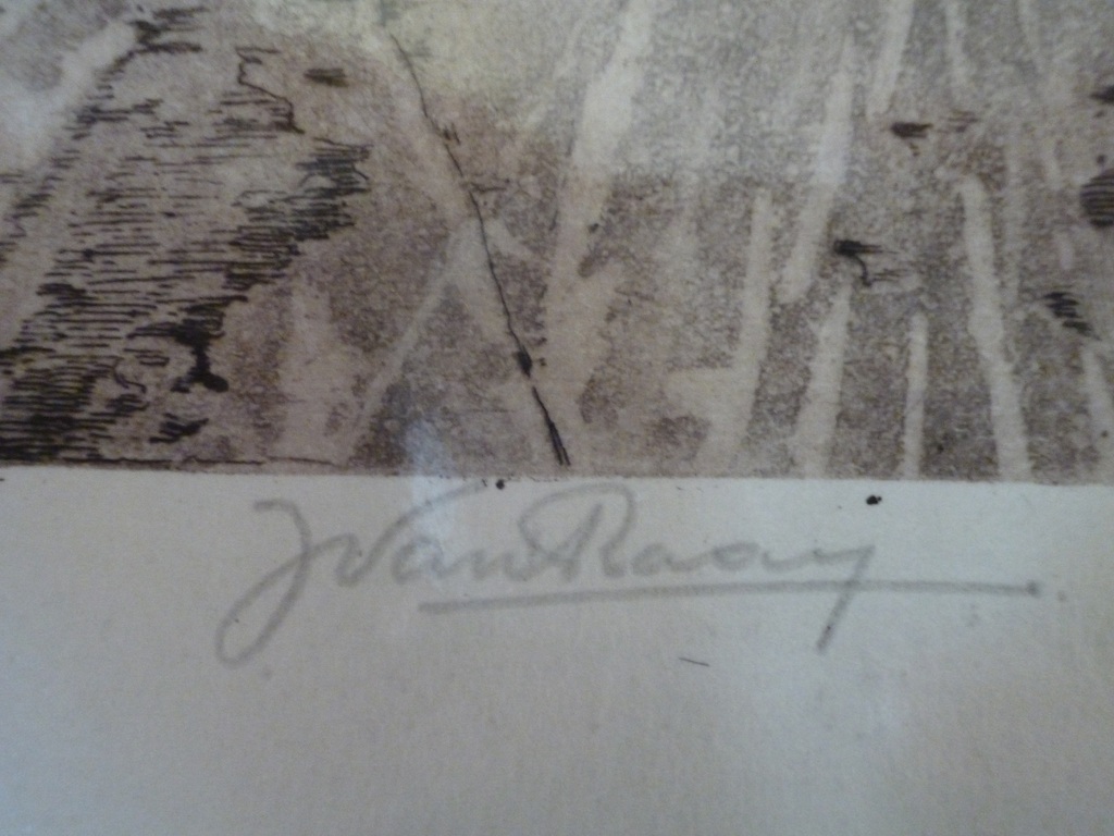 Schaatsers op de Kagerplassen kopen? Bied vanaf 140!