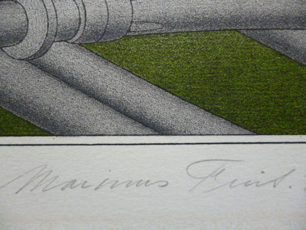 Marinus Fuit - kleurenlitho - Slangen in landschap kopen? Bied vanaf 60!