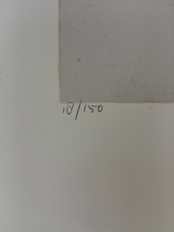 Ron van der Werf, zeefdruk op papier, Titel: Terra II kopen? Bied vanaf 40!